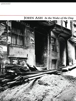 cover image of In the Wake of the Day